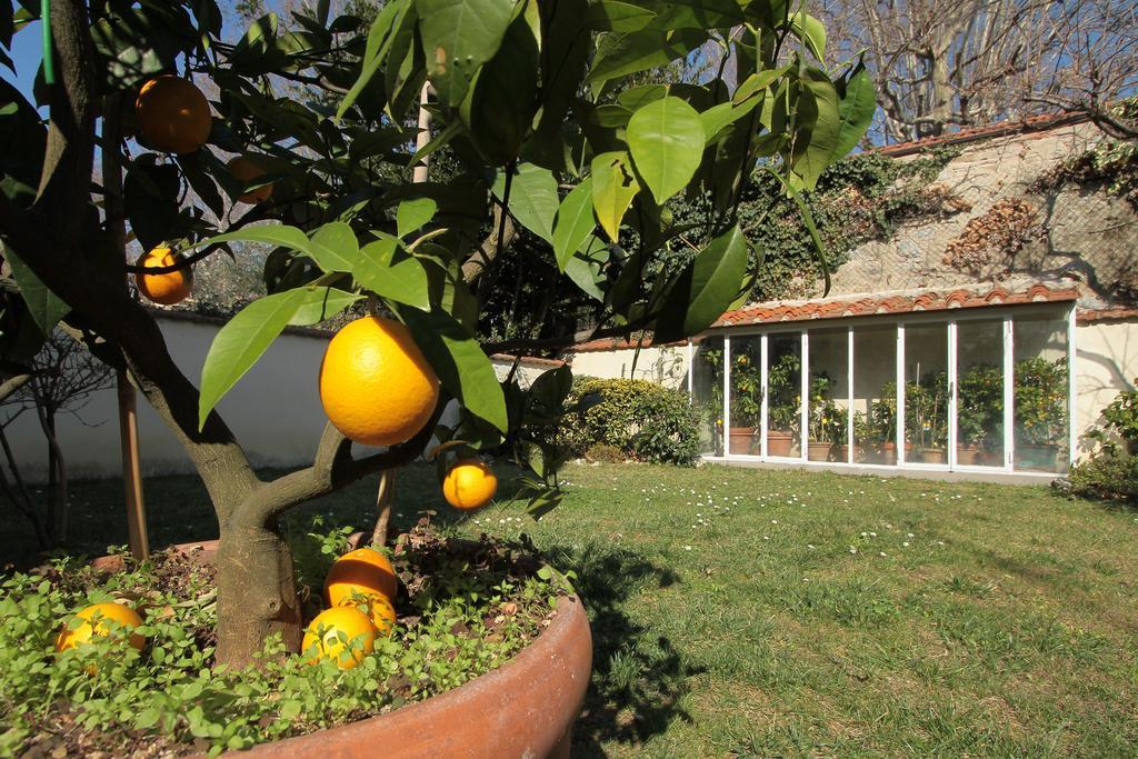 Il Diospero B&B Florencia Exterior foto